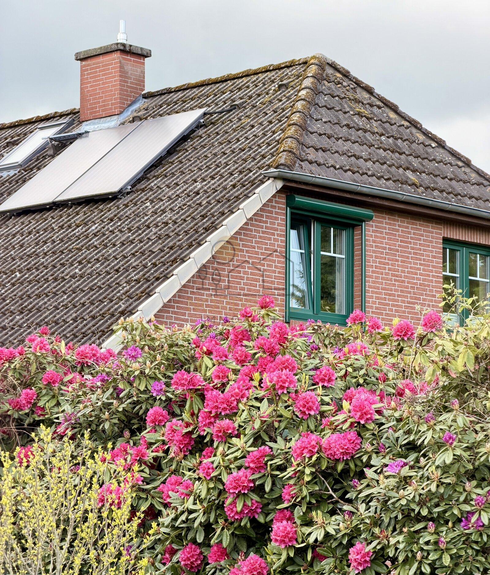 Luxuriöses Traumhaus mit Wellnessgarten und viel Platz