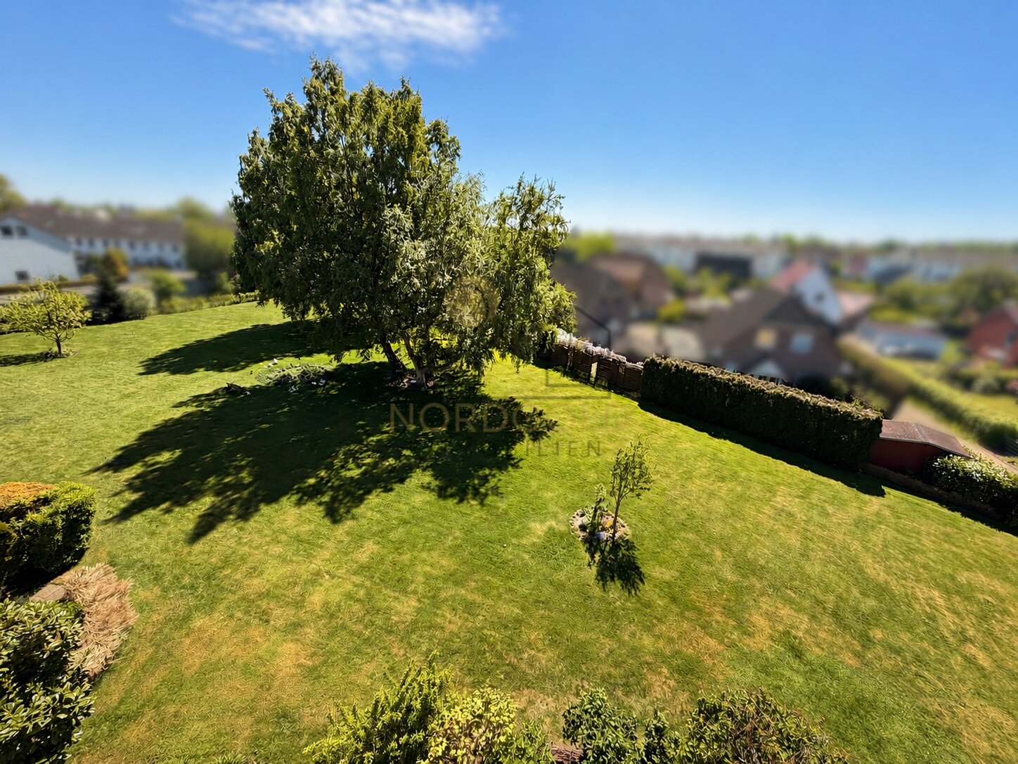Blick in die Grünanlage Blick in die Grünanlage