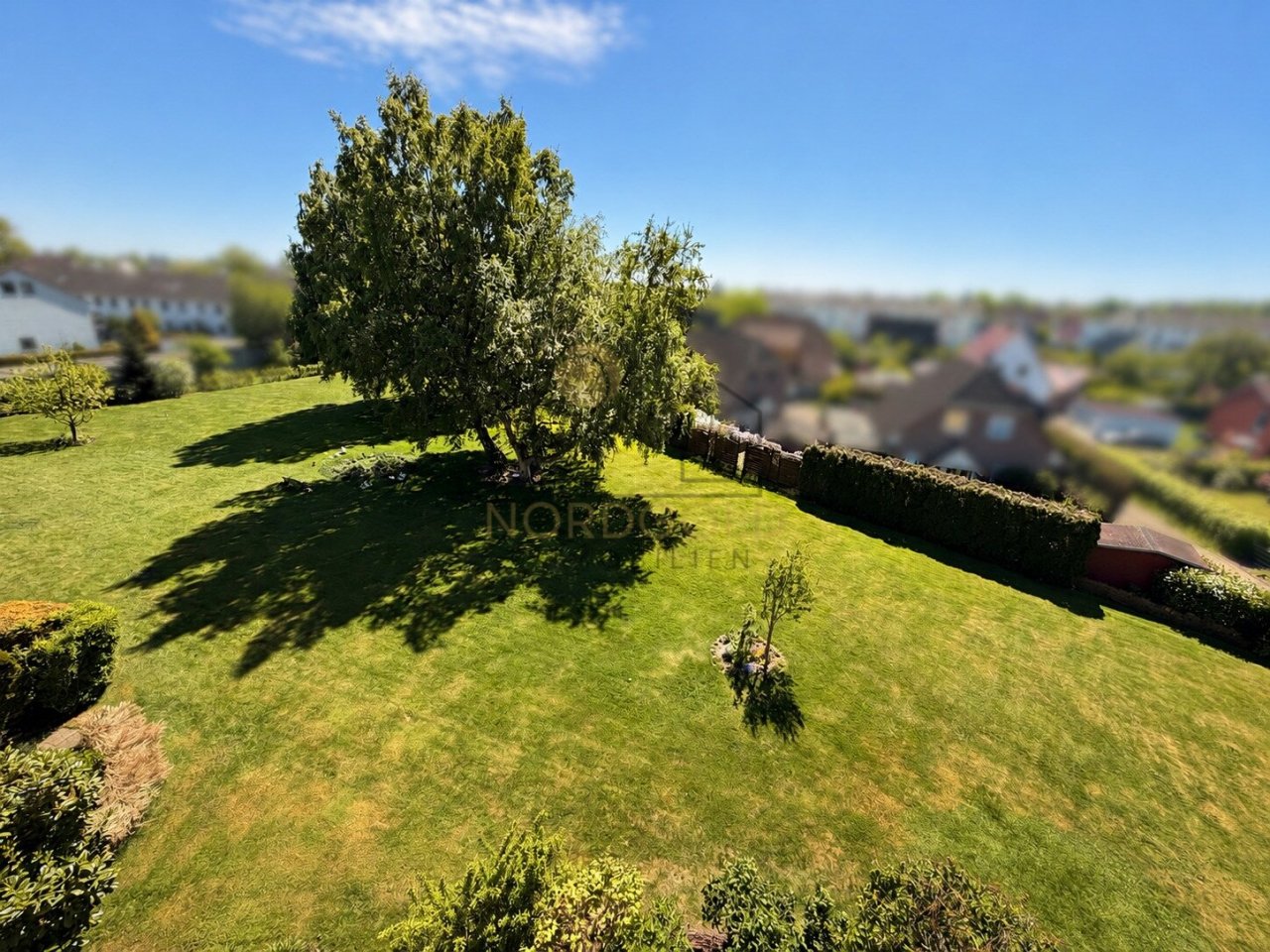 Blick in die Grünanlage Blick in die Grünanlage