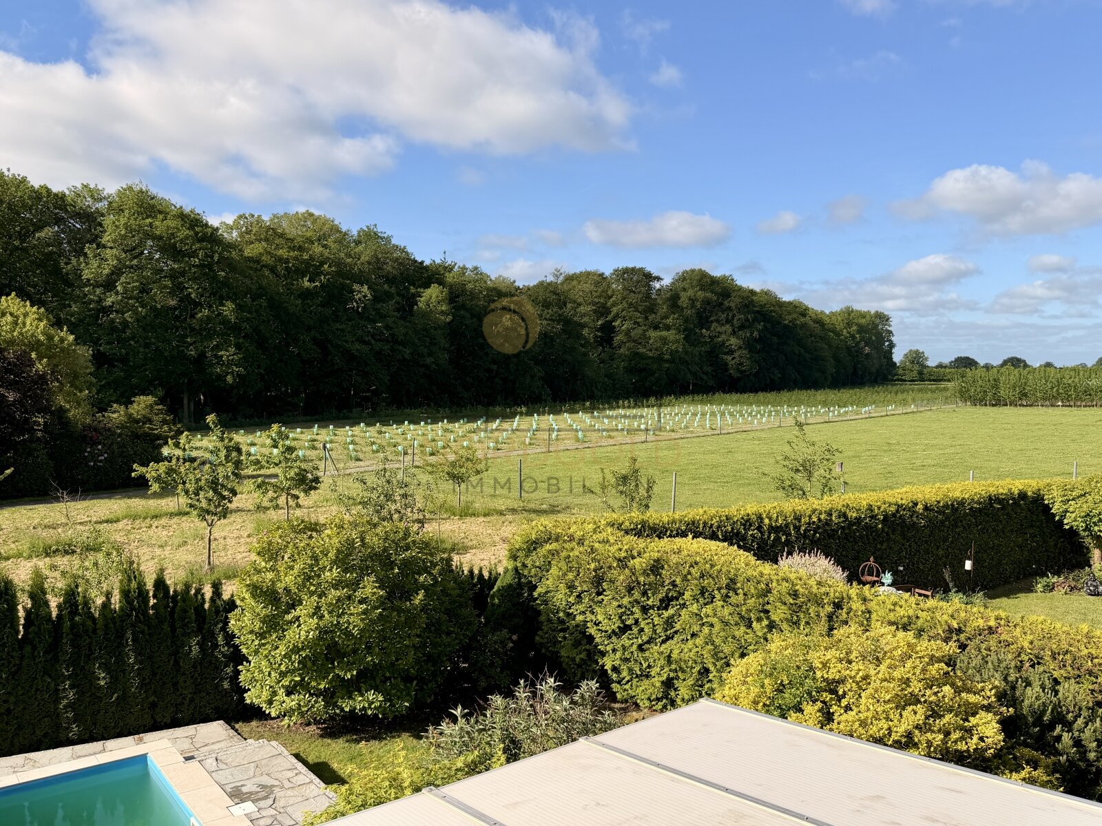 Ausblick OG Ausblick OG