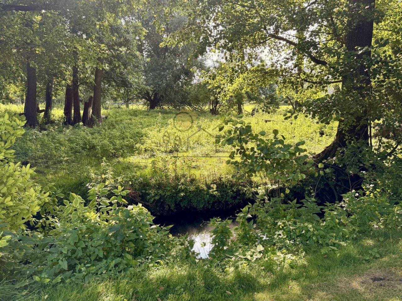 Natur pur Natur pur