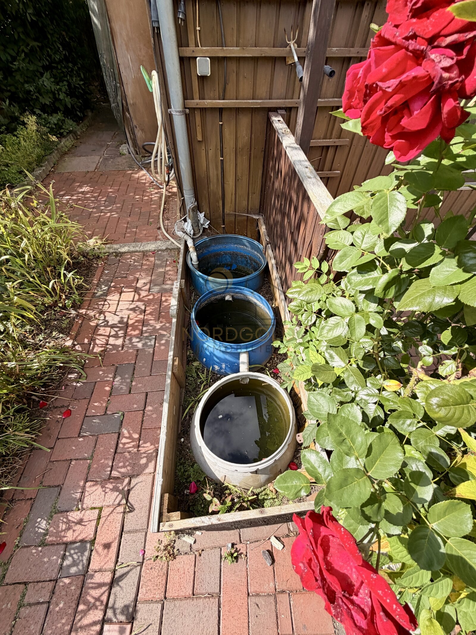 Genug Wasser für Pflanzen Genug Wasser für Pflanzen