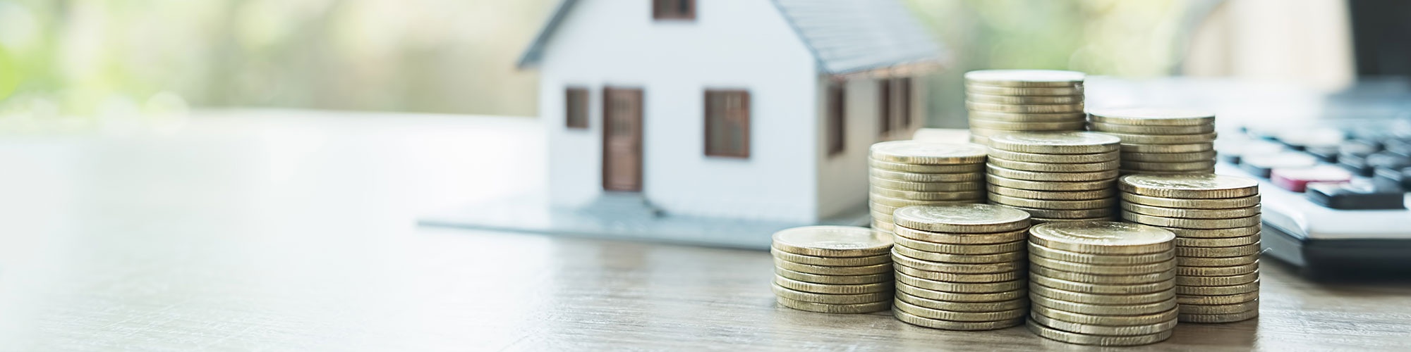 NordGold Immobilien - Fynn Dohrn
